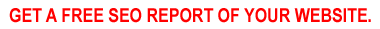 free seo report